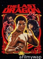 The Last Dragon (1985) ORG Hindi Dubbed Movie